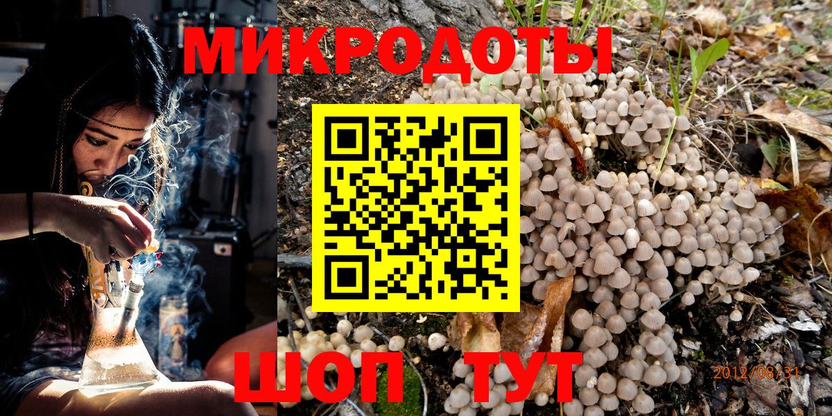 Кудрово  Псилоцибиновые грибы Cubensis  Вход с VPN 