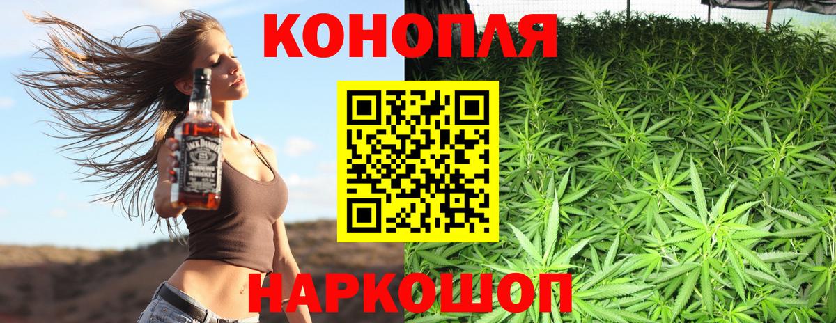 Бошки марихуана тримм  Канабис семена  Кудрово  Вход с VPN  МАРИХУАНА семена 